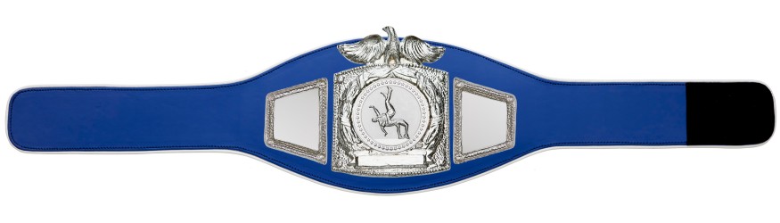 PROEAGLE WRESTLING CHAMPIONSHIP BELT - PROEAGLE/S/WRESTS - AVAILABLE IN 6+ COLOURS PROEAGLE WRESTLING CHAMPIONSHIP BELT - PROEAGLE/S/WRESTS - AVAILABLE IN 6+ COLOURS